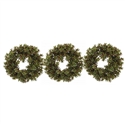 Jade Succulent Wreath Trio Set of 3 Each 14"  Dia.