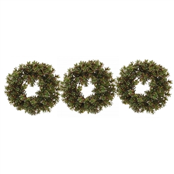 Jade Succulent Wreath Trio Set of 3 Each 14"