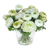 Ranunculus in Glass Vase 10" White