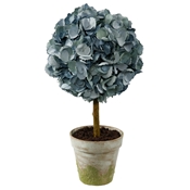 Hydrangea Dried Topiary in Clay Pot 20" Blue