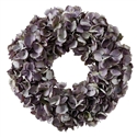 Wreath Dried Hydrangea 16 in. lavender/purple
