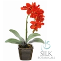 Potted Orchid 14" Orange