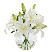 Casablanca Lily Bouquet in Glass Vase 16" White
