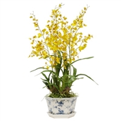 Oncidium in Pot Cache Rose Trellis 32" Yellow
