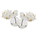 Phalaenopsis Orchids Mini in Glass Ball Vase 8" Tall Set of 2