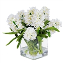 Hyacinths In Square Glass Vase 12" White